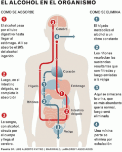 Cómo engañar al alcoholímetro o bajar tu nivel de alcohol