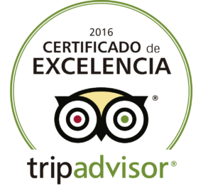Certificado bar cocktails Córdoba