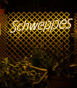 TERRAZA BAR GLACE GIN TONICS SCHWEPPES